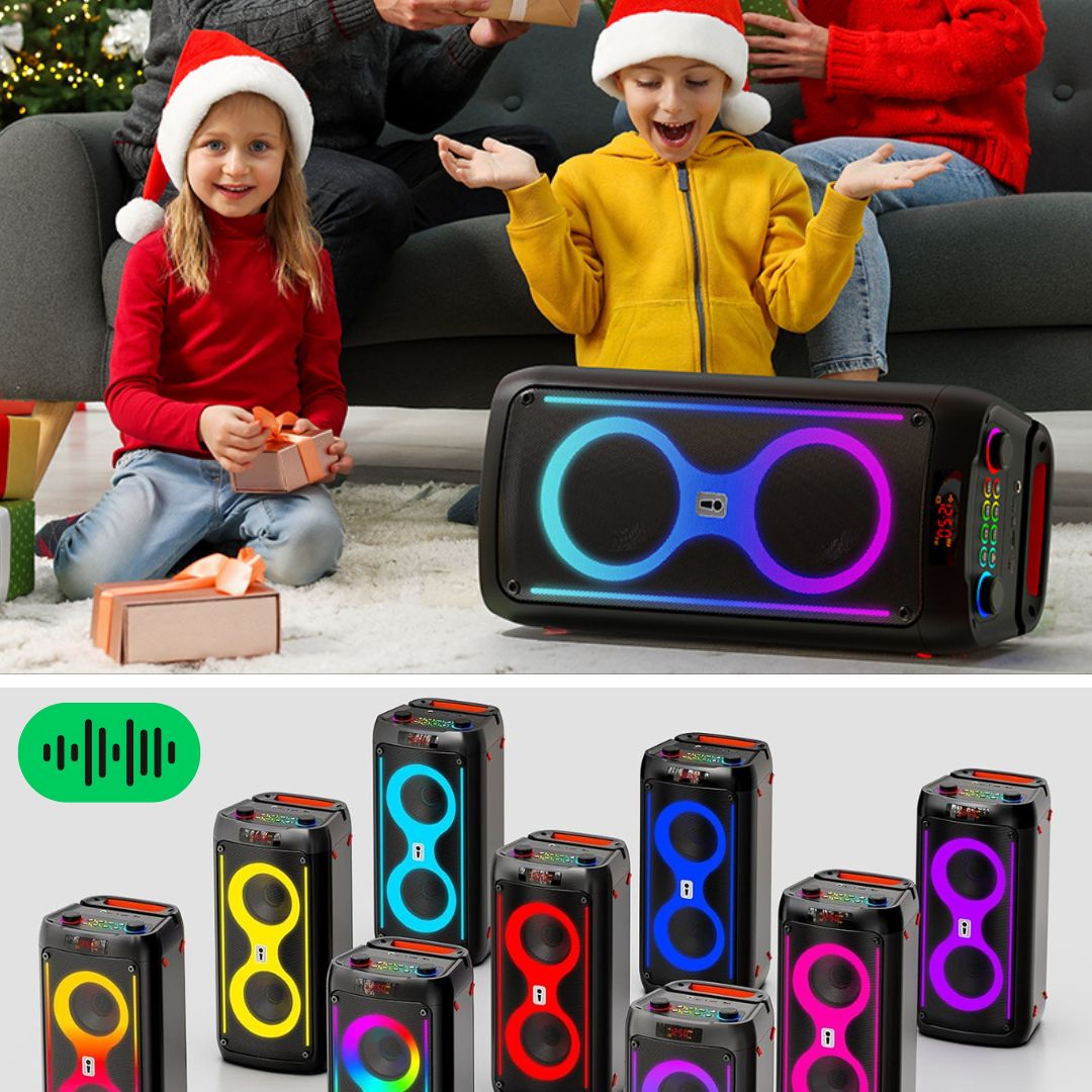 Enceinte Karaoké Portable + 2 Microphones